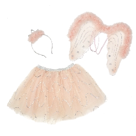 Swan tutu set