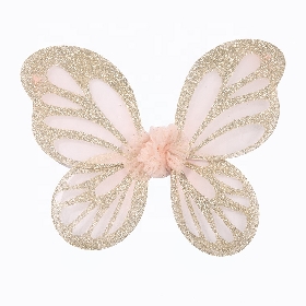 Kid fairy glitter wing