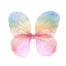 Rainbow nylon wing