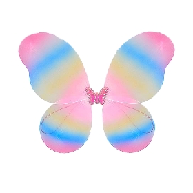 Rainbow wing