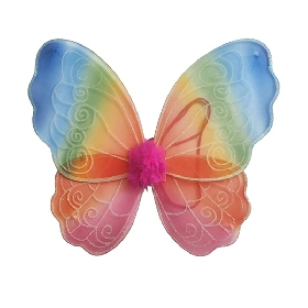 Rainbow wing