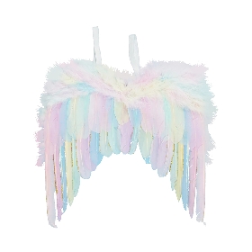 Rainbow angel feather wing